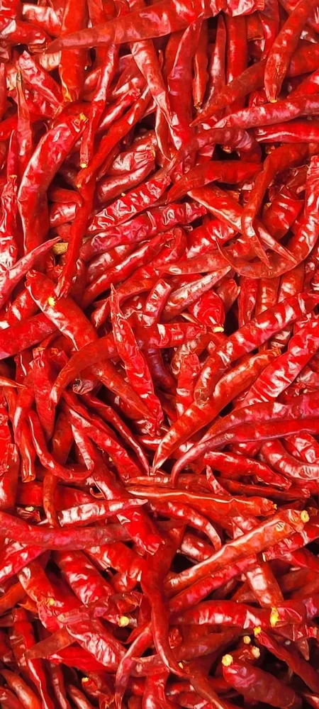 Teja S17 Dry Red Chilli Steamless