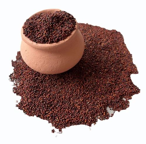 Red Mustard Seeds, 25 Kg