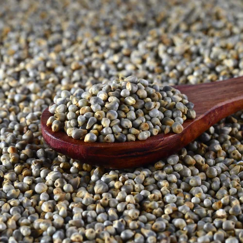 Organic Pearl Millet