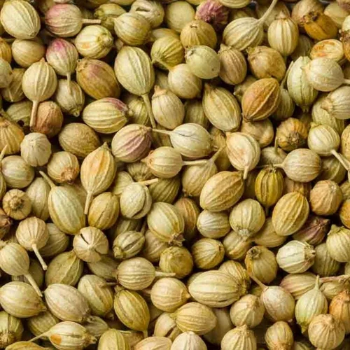 Natural Organic Coriander Seed, Form: Seeds
