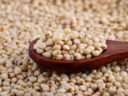 Yellow Jowar Sorghum Seed, High in Protein, 50 Kg