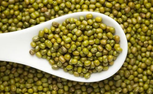 Whole Green Fresh Moong Dal, Packaging Size: 25 Kg