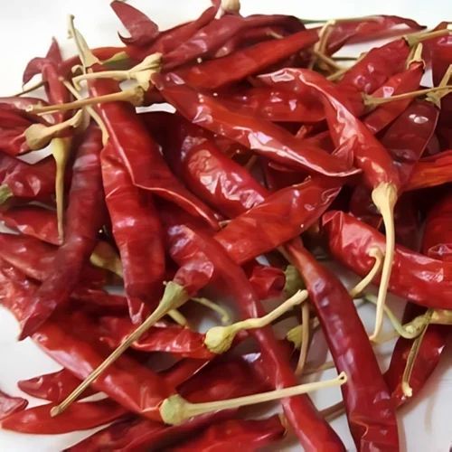 Sannam 117 Dry Red Chilli, Packaging Size: 25 kg