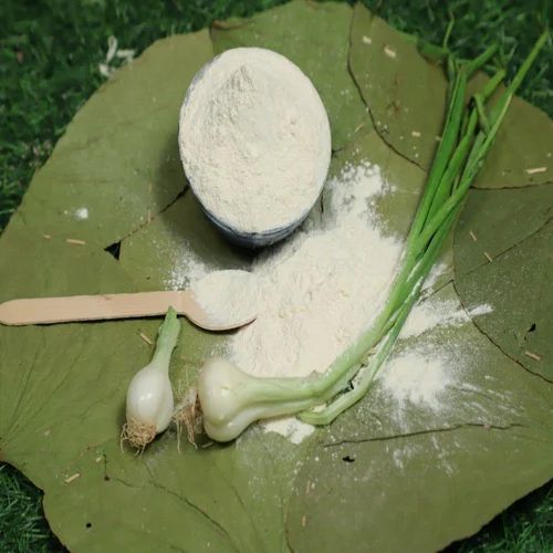 A Grade Dehydrated White Onion Powder, Packaging Size: 25 Kg