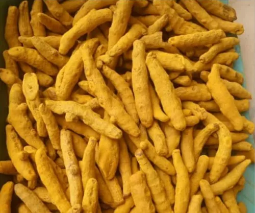 Fresh Turmeric Root