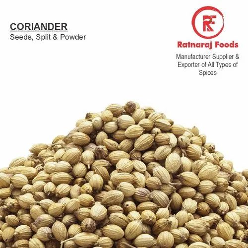 Natural Green Whole Coriander Seed, For Blending, Packaging Size: 25-50KG