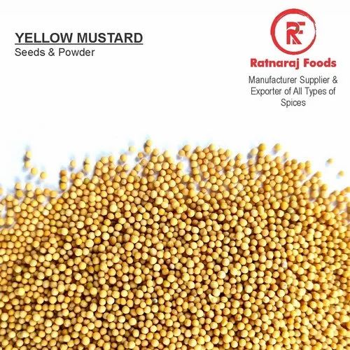 Yellow Mustard Seeds