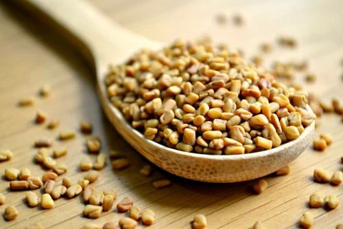 Fenugreek Seeds Methi Dana