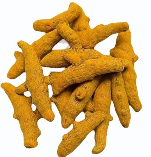 Raja Puri Turmeric Finger