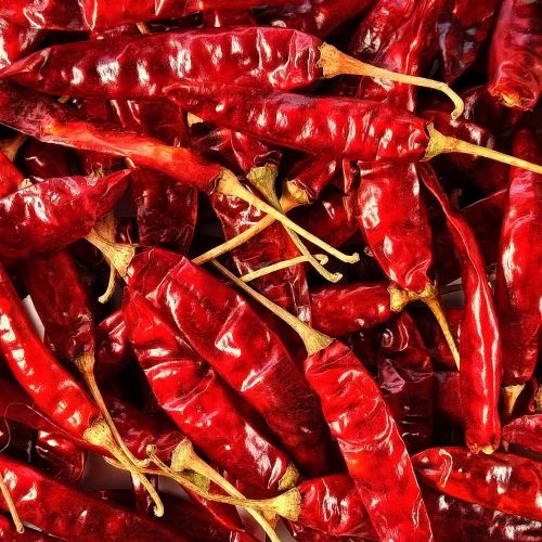 Dry Red Chilli Teja, With Stem, Super Deluxe