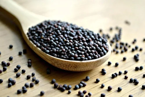 Natural Black Mustard Seed (Bold, Machine Clean, 99.7% Purity)