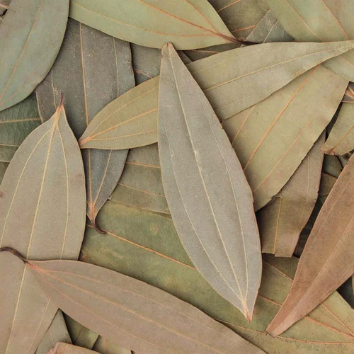 Fresh Bay Leaf, Premium