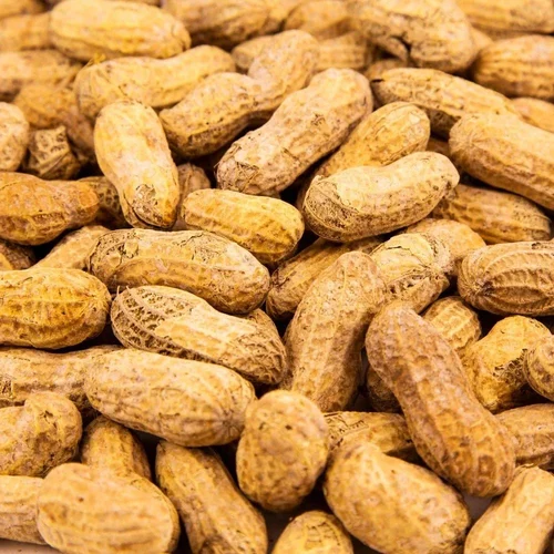 Whole Raw Shelled Peanuts (<5% Moisture)