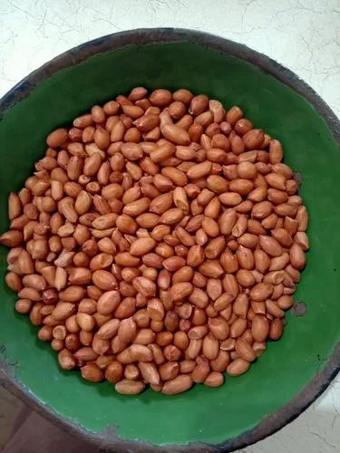 Raw Groundnut Kernels Peanuts
