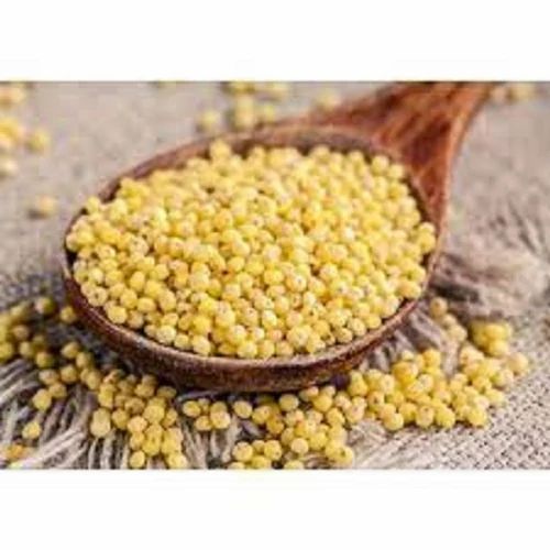 Yellow Millet