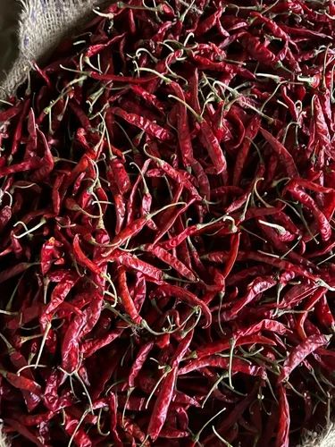 Guntur Dry Red Chilli, With Stem