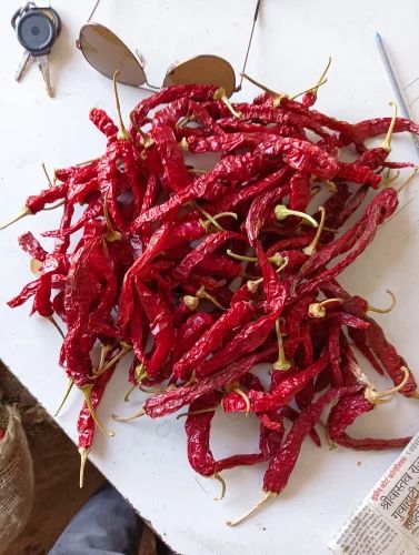 Guntur Dry Red Chilli