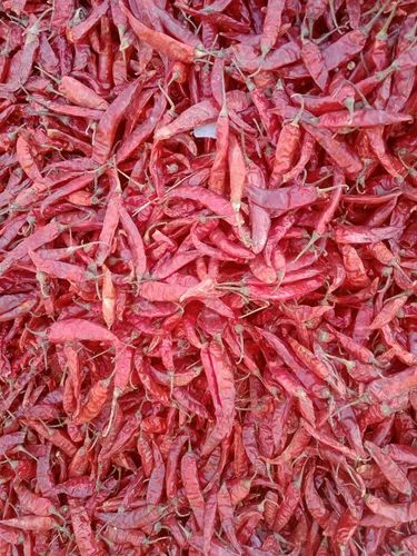 Jahanabad mircha laal