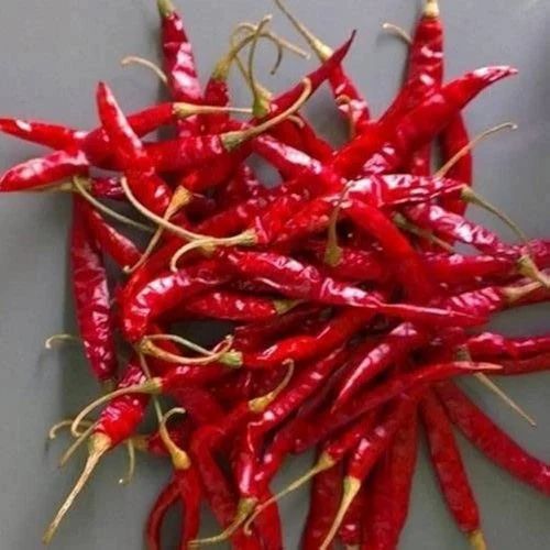 Teja Dry Red Chilli - Deluxe