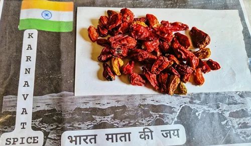 Premium Ghost Chillies Bhut Jolokia, Gunny Bag, Packaging: Carton