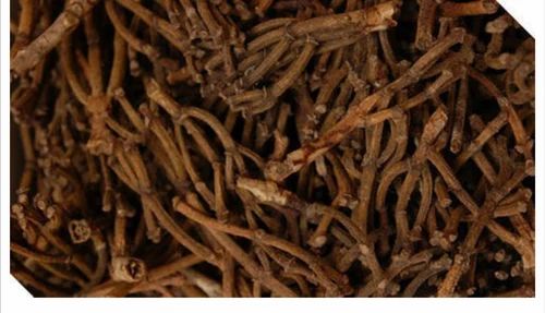 Brown Clove Whole Stem
