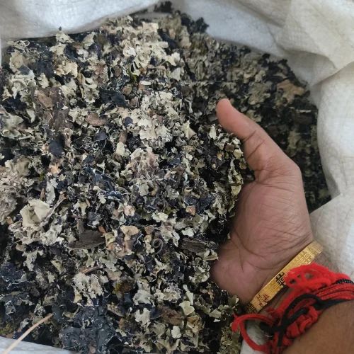 Black Stone Flower, Origin: India, Whole