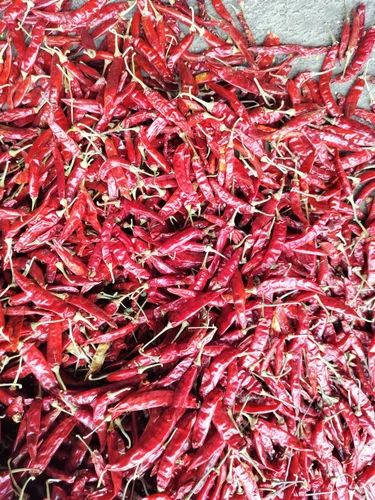 Guntur Dry Red Chilli