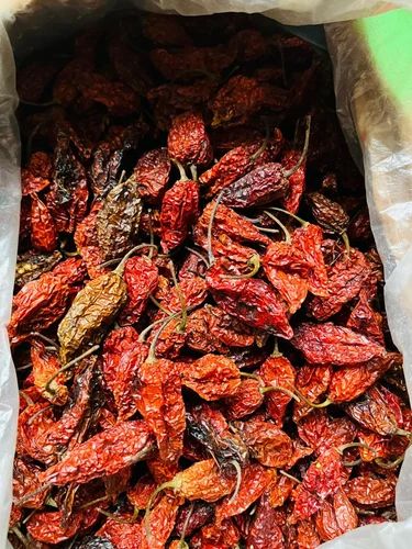 Nagaland Dried Bhut Jolokia Naga Chilli Ghost Pepper, Gunny Bag
