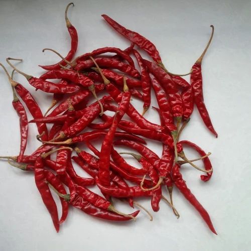 Guntur Teja Dry Red Chilli