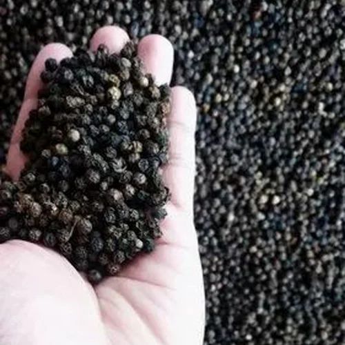 Organic Black Pepper, Steam Sterilized