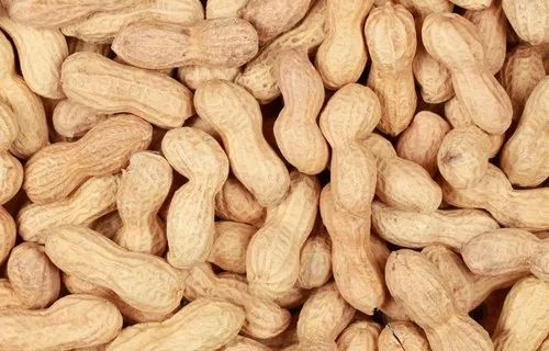 Bold Raw Groundnut .