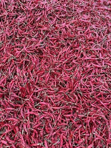Kashmiri Dry Red Chilli, Whole