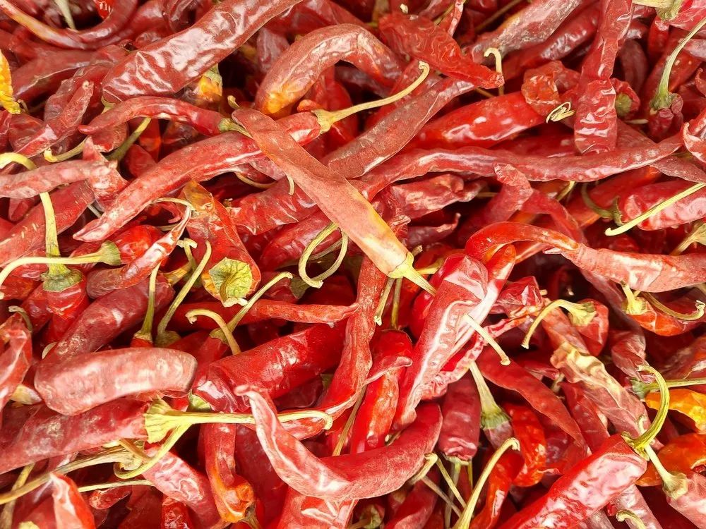 Kashmiri Chilli