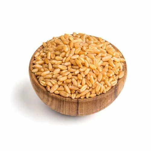 Sk Agrotech Green Wheat Flour 25 Kg