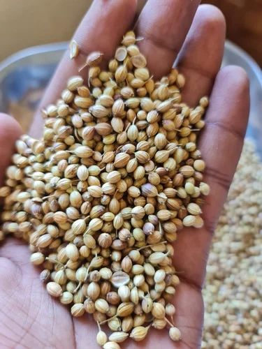 Eagle Coriander Seeds, Packaging Type: PP Bag, 50 Kg