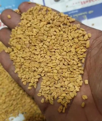 Organic Fenugreek Seed, Packaging Size: 25 kg