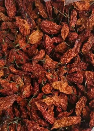 Variety: Longi Mirch Assam Bhoot Jolokia chilli, Packet, Packaging: Plastic Bag or Polythene