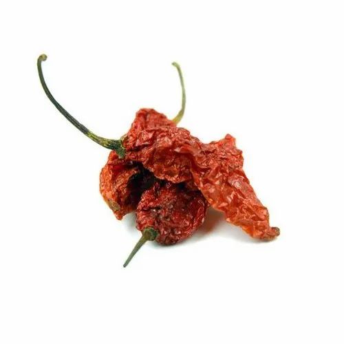 Bhut Jolokia Chilli Pods Oven Dried, PP Bag, 10 Kg