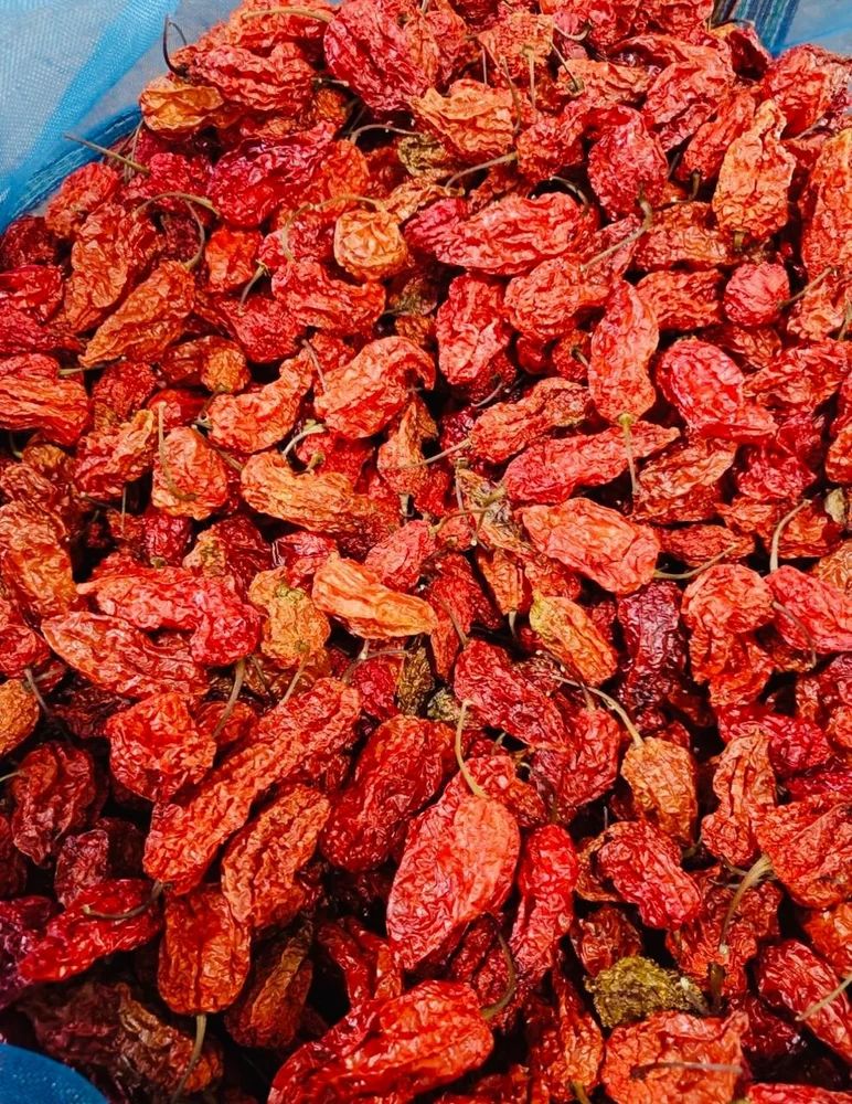 Ghost Pepper