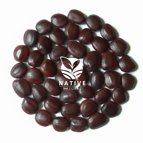 Tamarind Kernel Seeds (Whole, Raw, 99% Purity)