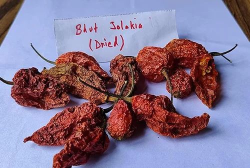 Nagaland Bhut Jolokia Ghost Pepper, Packaging: Plastic Bag or Polythene