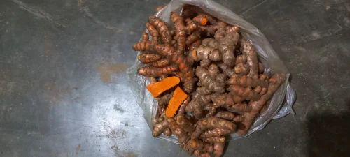 Lakadong Turmeric Roots, Fresh Whole