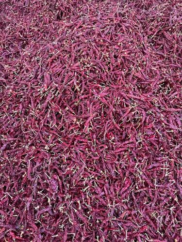 Byadgi KDL Whole Dry Red Chilli, Packaging Size: 25Kg