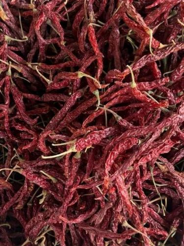 Byadgi Syngenta 5531 Whole Dry Red Chilli, Packaging Size: 25 kg