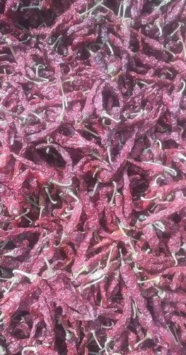 KDL Byadgi Medium Dry Red Chilli, Stem Type: With Stem, Whole Dried