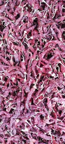 KDL Byadgi Deluxe Dry Red Chilli, Whole Dried, Stem Type: With Stem