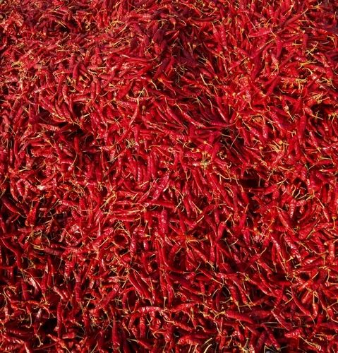 Endo 5 Stemless Dry Red Chillies