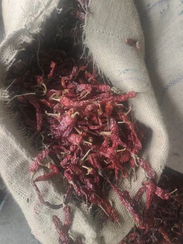 Syngenta 5531 Byadgi Chilli, Whole Dried