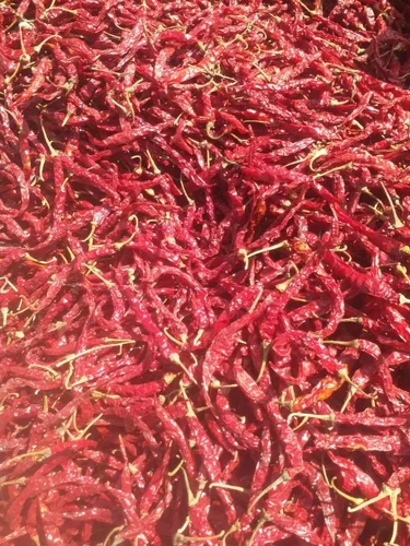 Byadgi 5531 Quality Dry Red Chilli With Stem