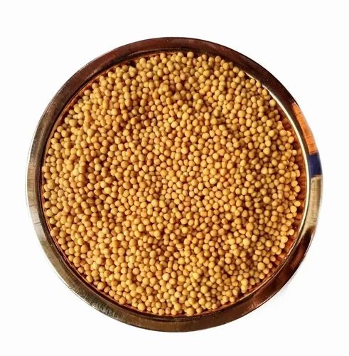 Yellow Mustard Seed, Bold